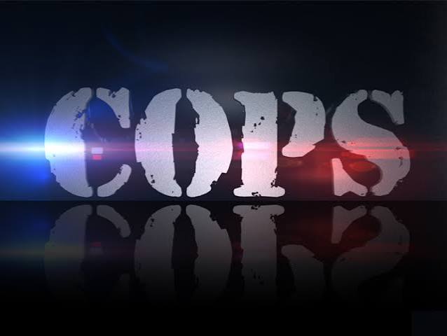 Cops 24/7